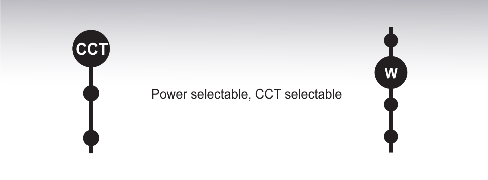 1689827943363873.jpg ScerelyPT230720.jpg