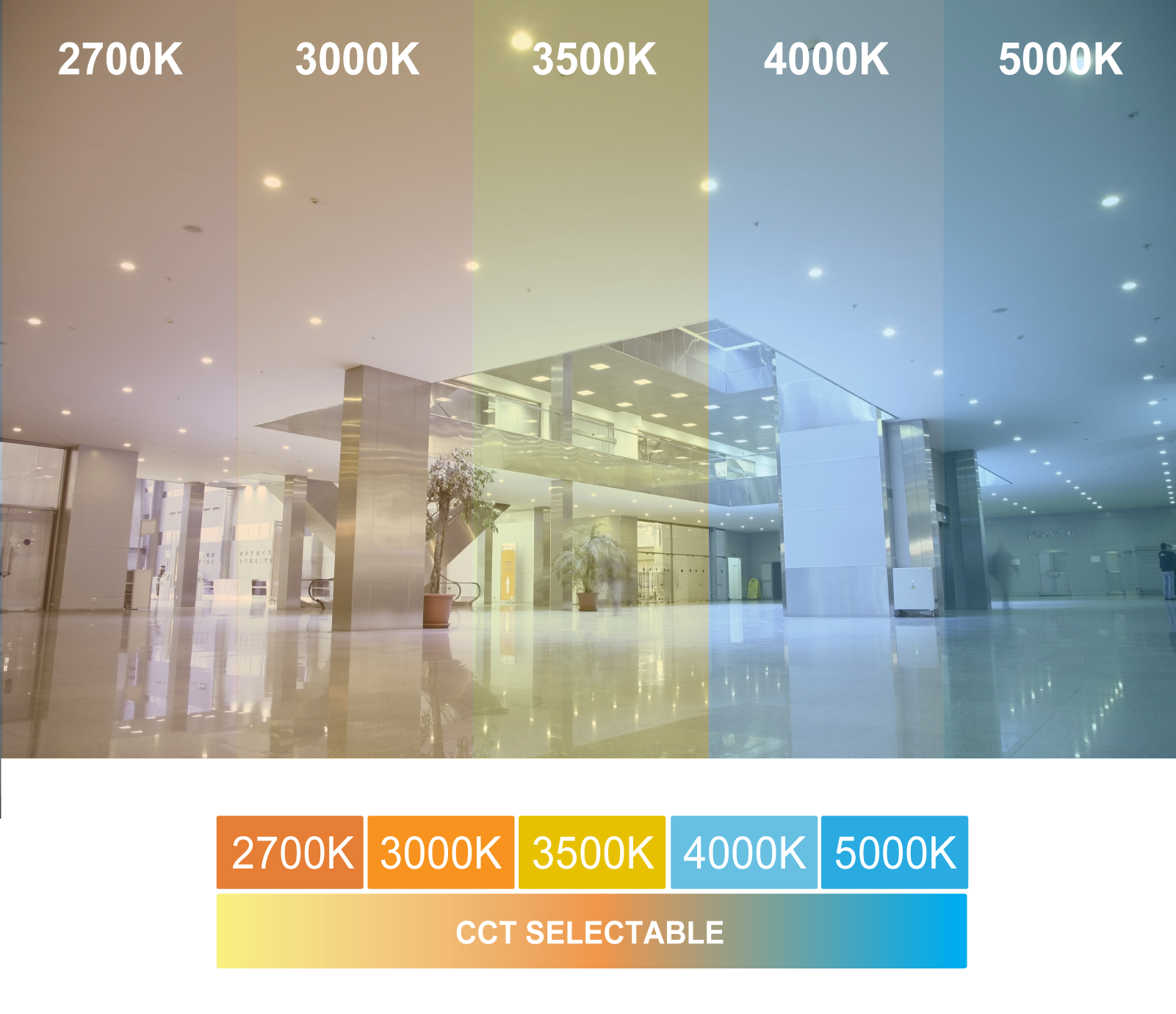 1724992647760388.png 6n ADJ 1600 DL-05.png