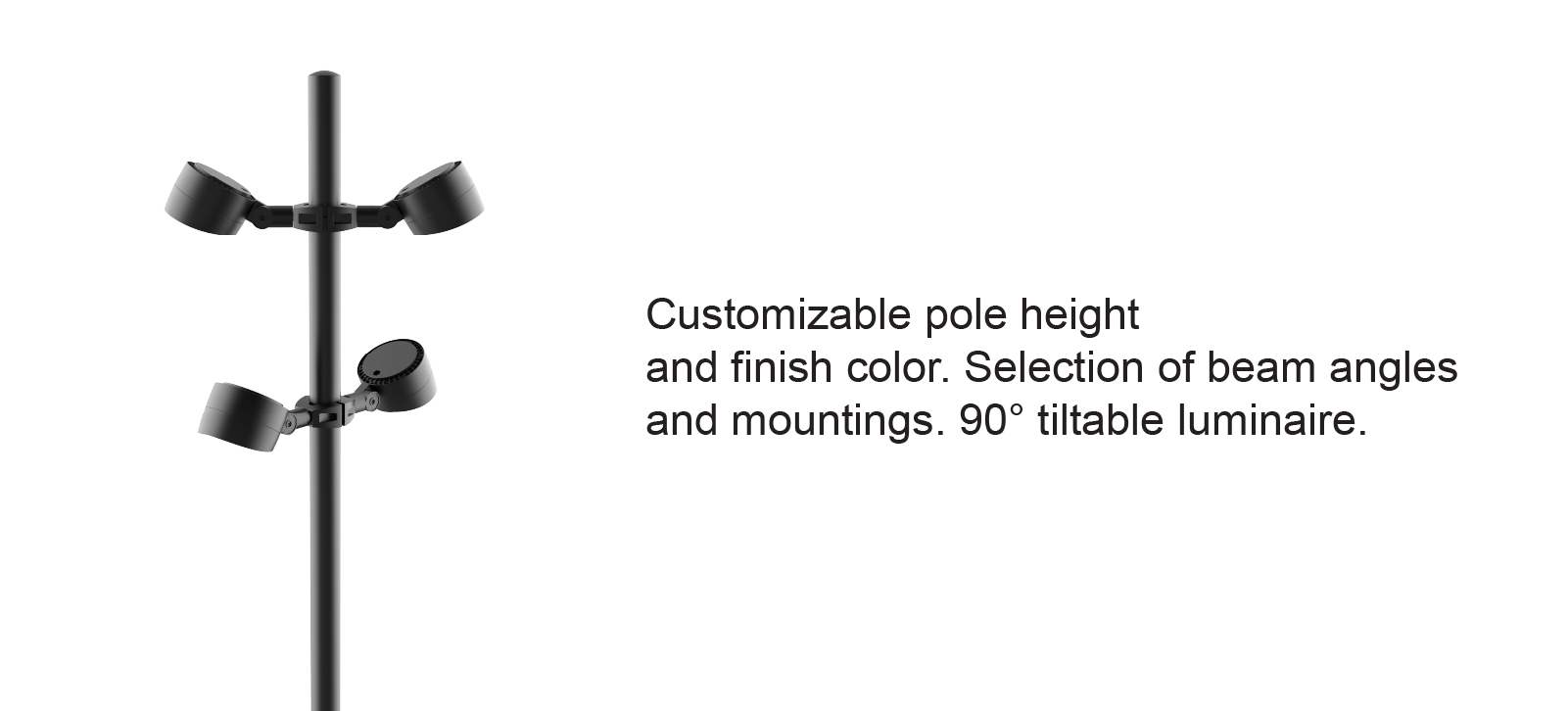 Holly Flood Pole250104-05.jpg