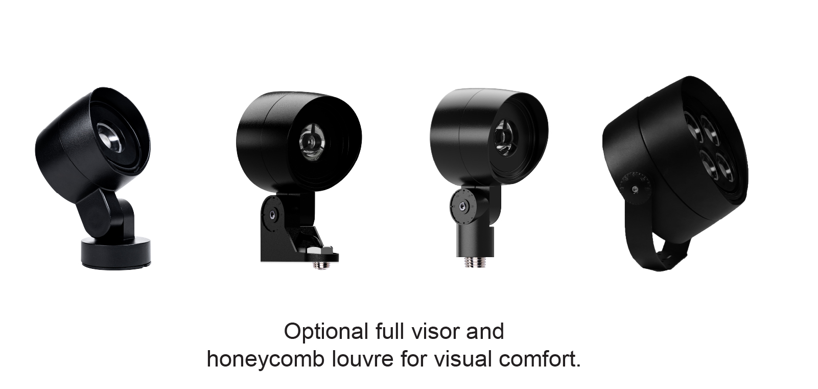 Holly Flood Pole250104-01.jpg