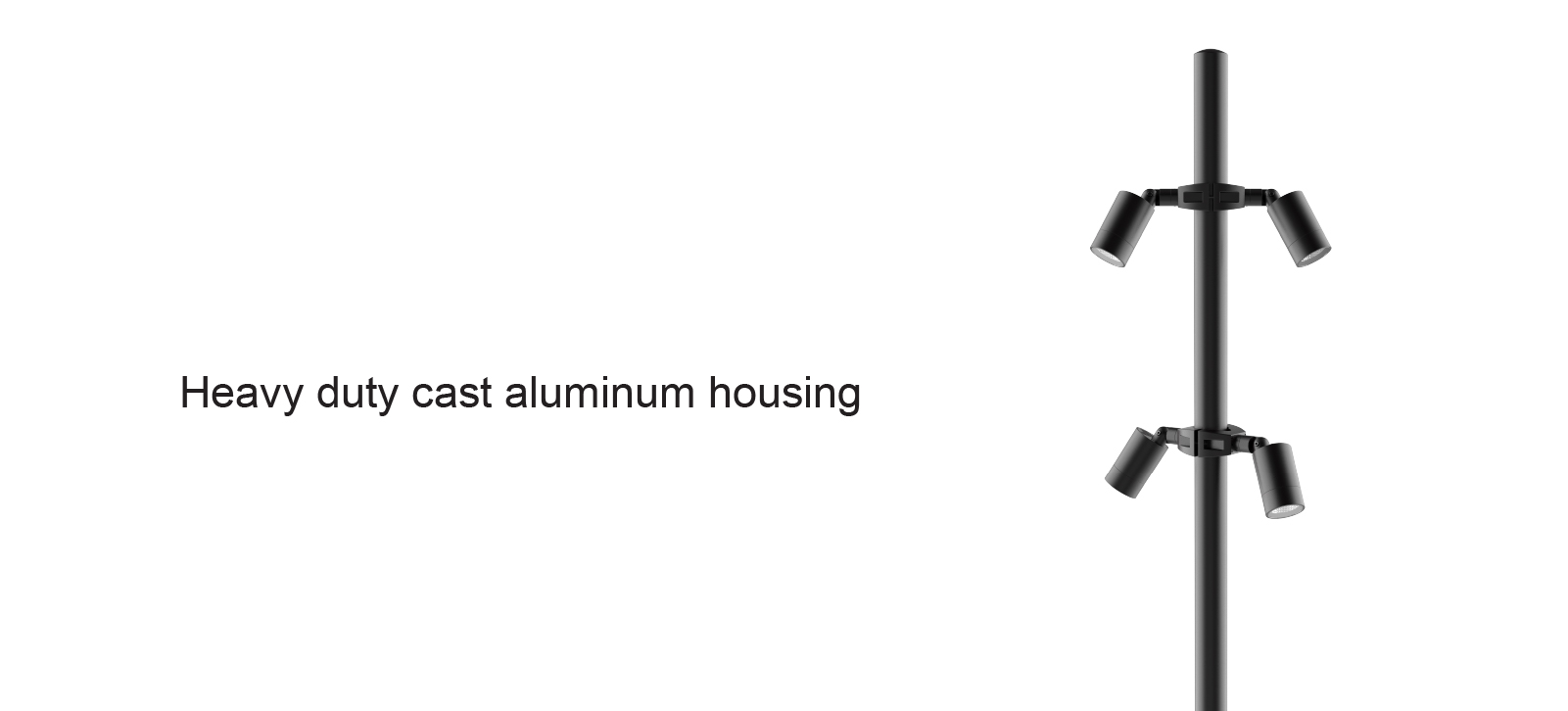 Carlo pole260104-07.jpg