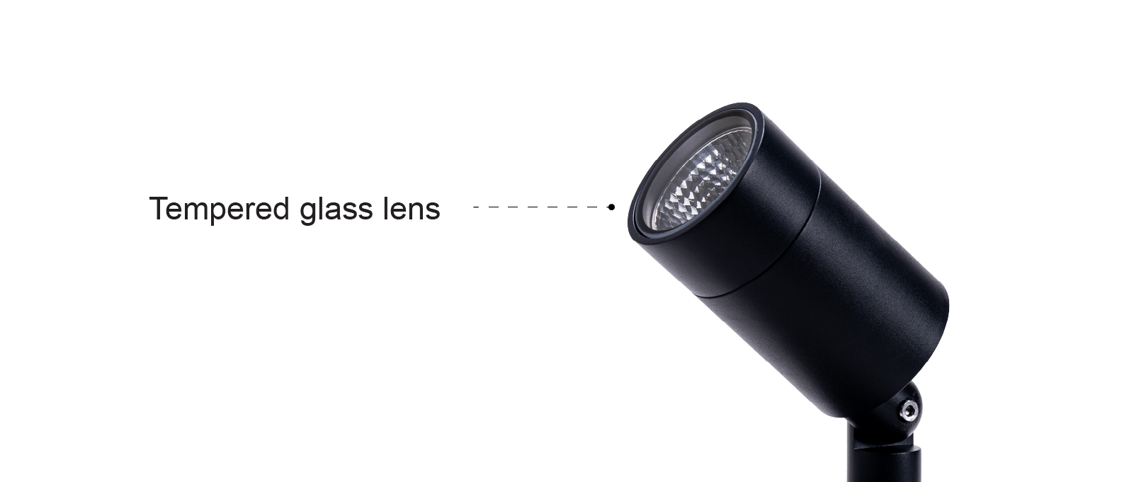 Carlo pole260104-01.jpg