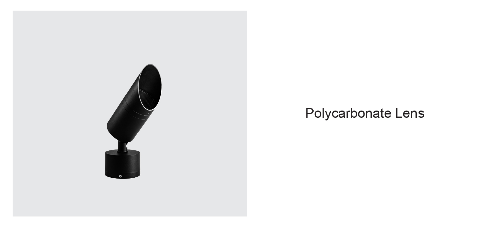 Carlo pole260104-03.jpg