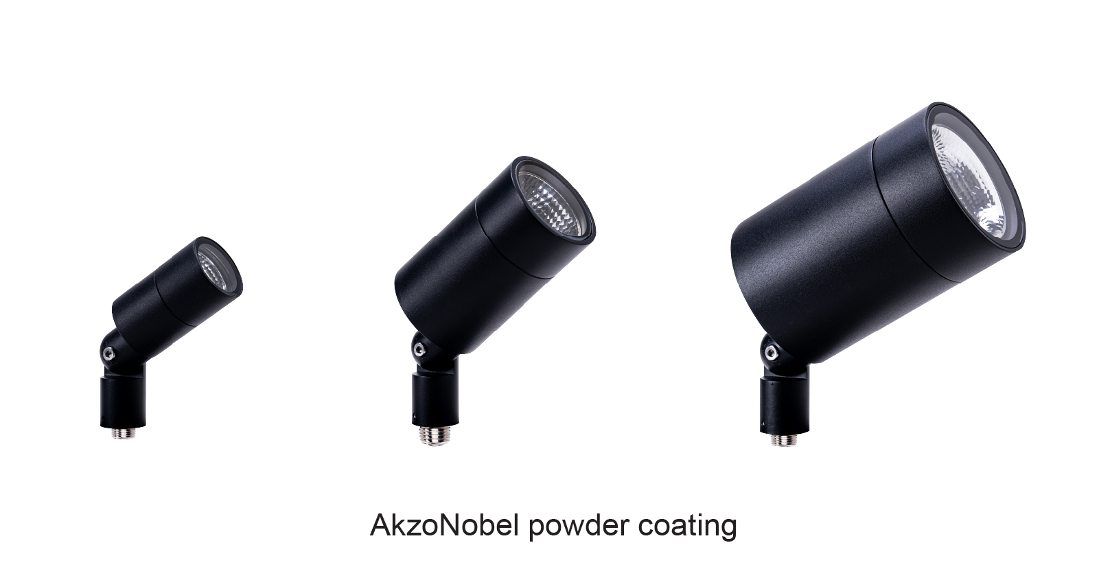 Carlo pole260104-04.jpg