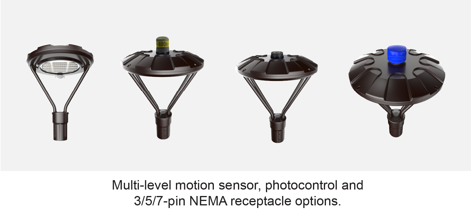 MPT motion sensor260731-10.jpg